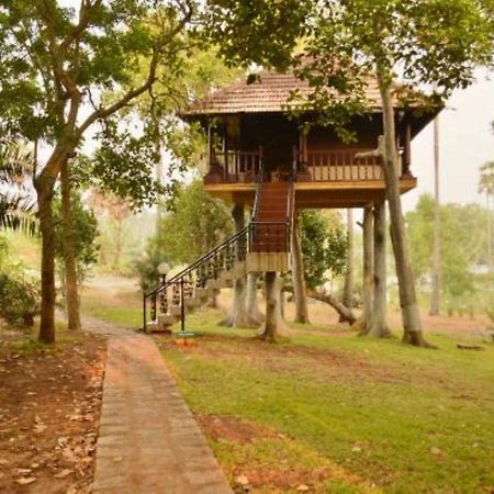 Isola Di Cocco Ayurvedic Beach Resort Poovar Kültér fotó