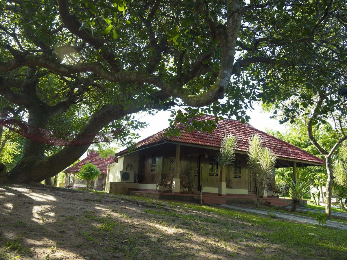 Isola Di Cocco Ayurvedic Beach Resort Poovar Kültér fotó