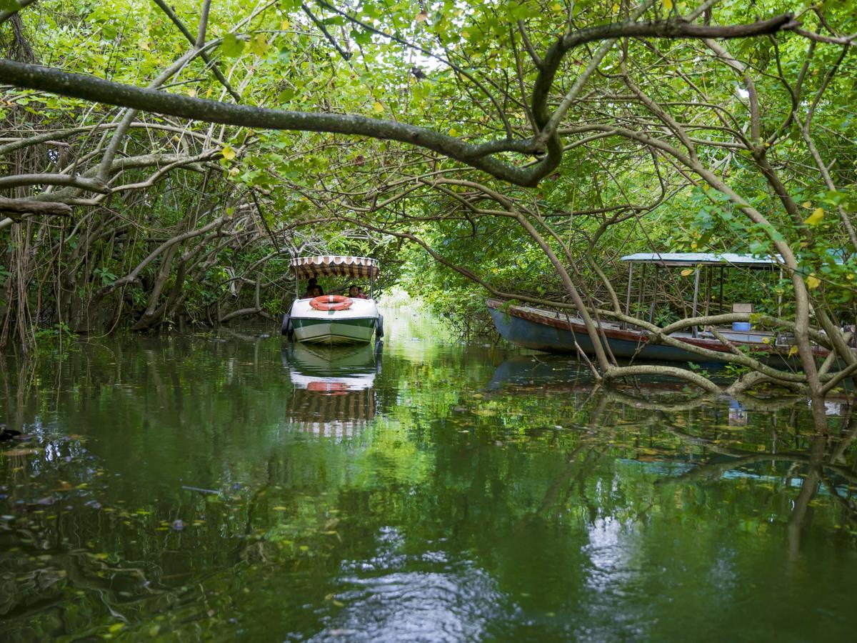 Isola Di Cocco Ayurvedic Beach Resort Poovar Kültér fotó